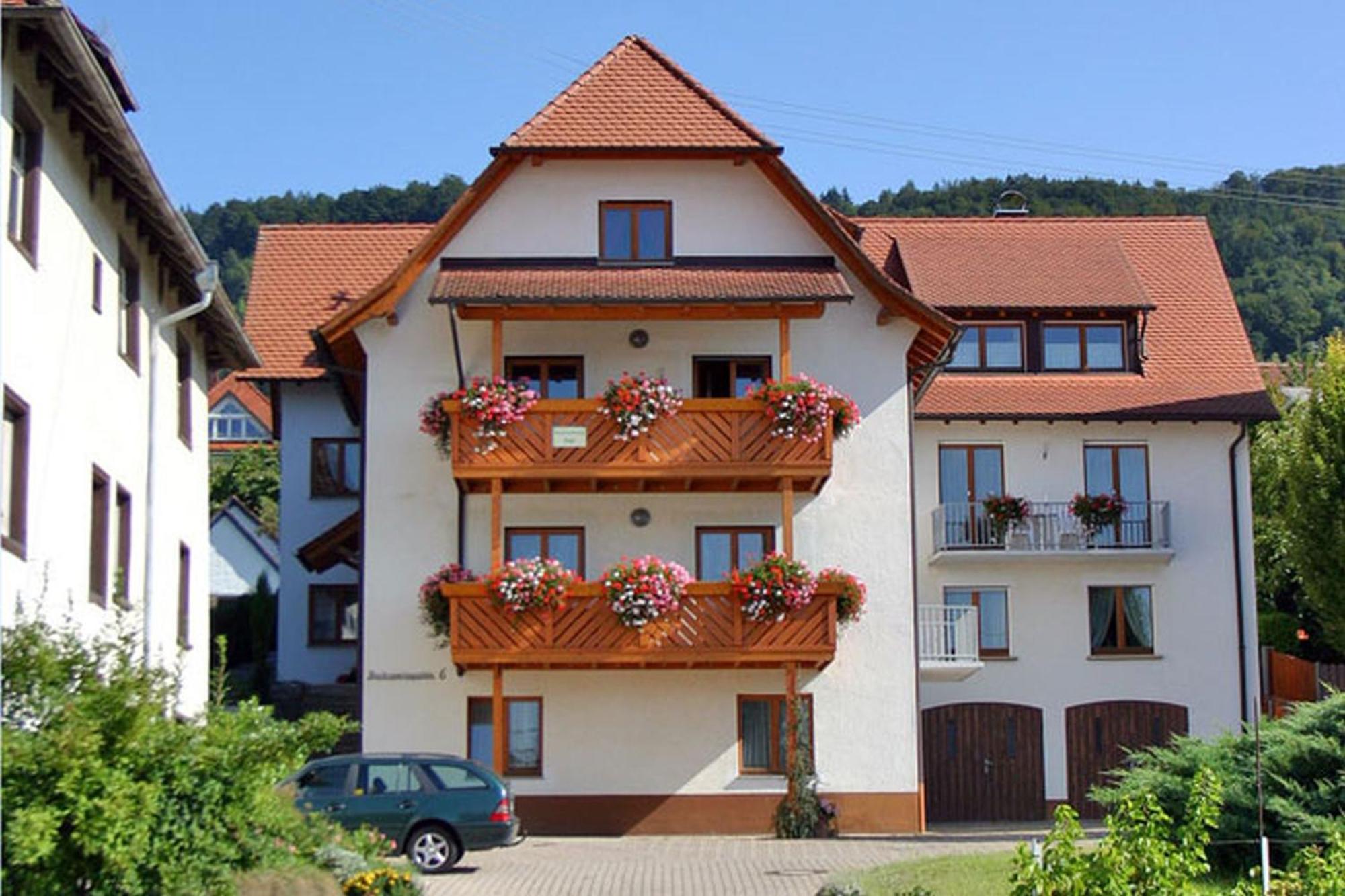 Апартаменты Haus Widenhorn Зипплинген Экстерьер фото