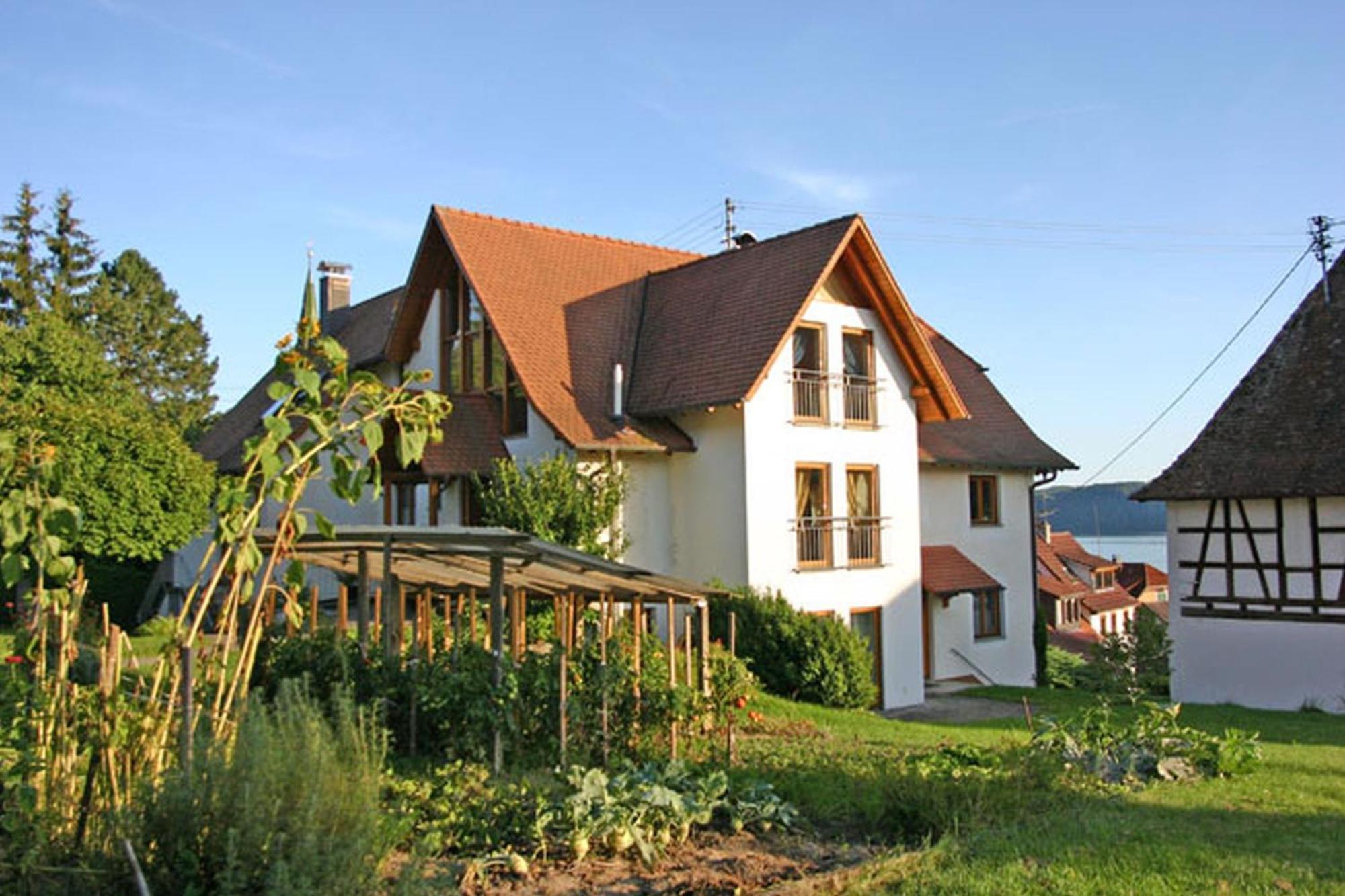 Апартаменты Haus Widenhorn Зипплинген Экстерьер фото